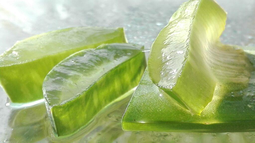 what are the uses of aloe vera-pulp