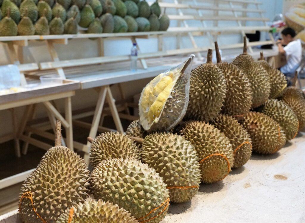 exotic fruit nutritional benefits-durian fruit