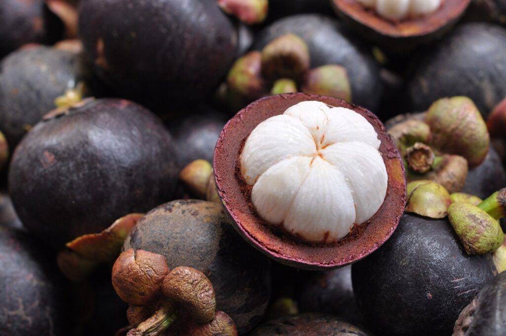 exotic fruit nutritional benefits-mangosteen flesh