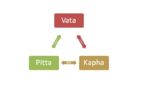 ayurveda 3 body types_vata_pita_kapha