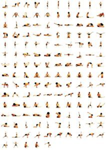 basic yoga poses for beginners chart my best essentials