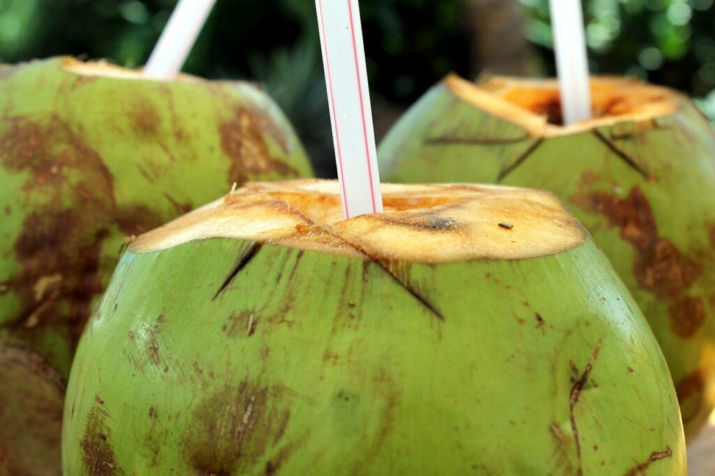 Fasting for a day-coconut water