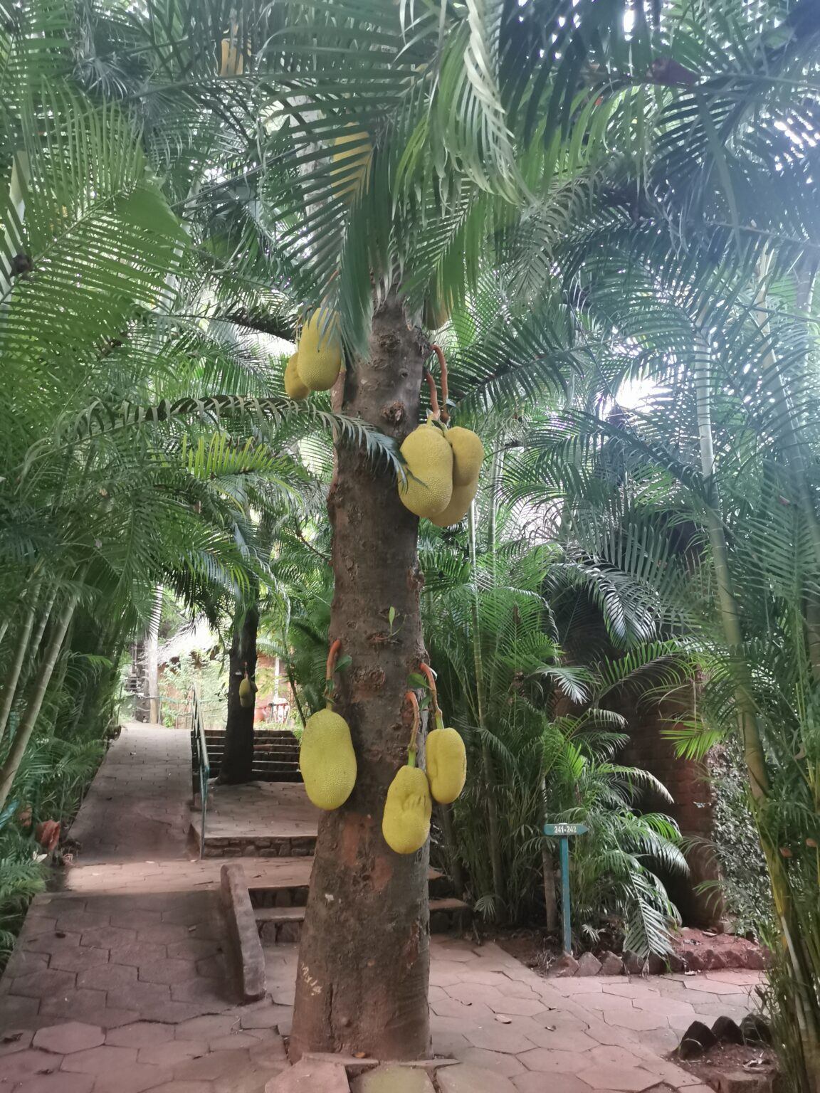 Ayurveda Treatment Procedure What You Need To Know