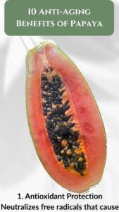 10 abtu-aging benefits of papaya